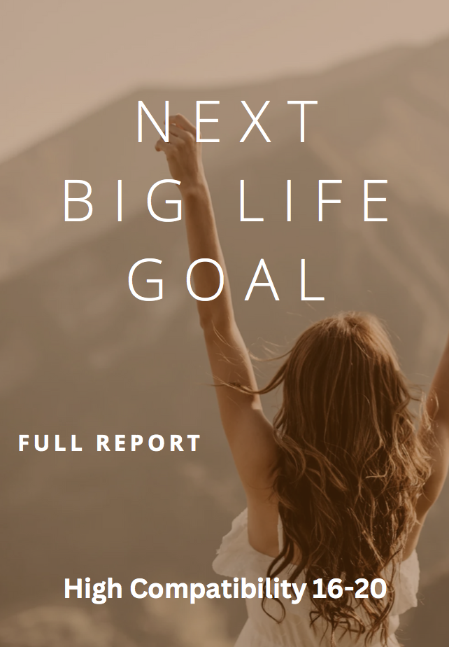 Next Big Life Goal ” High Compatibility Score 16-20 “