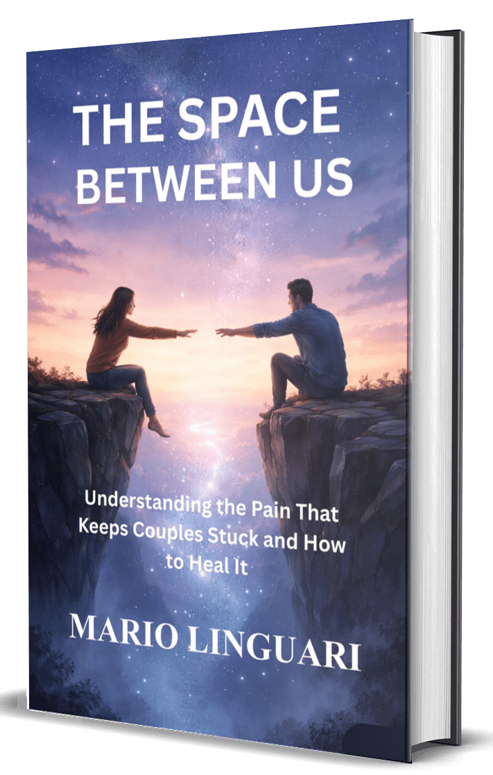 The Space Between Us - Book Cover